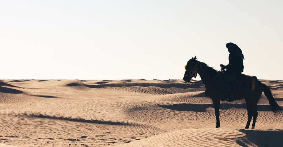 Horseback riding tour in merzouga