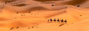 Shared Marrakech to Fes desert tour