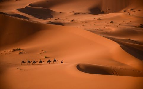 Camel trek during the Morocco itinerary 7 day