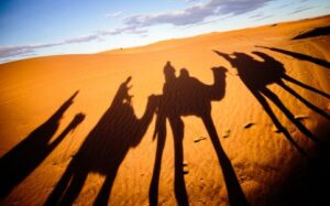 Camel trekking experience during the 6 day Morocco itinerary