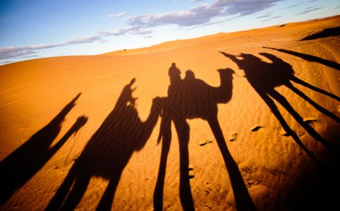 Camel trekking experience during the 6 day Morocco itinerary