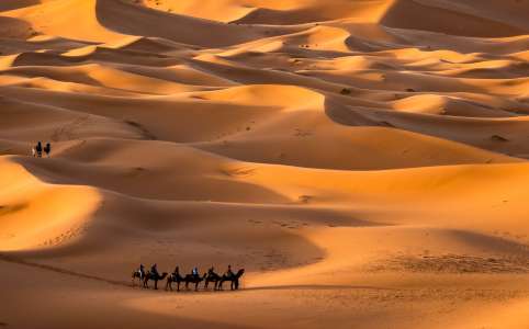 Camel trekking experience in merzouga desert during the 9 days in Morocco itinerary
