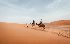 camel ride during the 5 days desert tour from Fes to Marrakech
